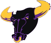 Boulder Bulls logo