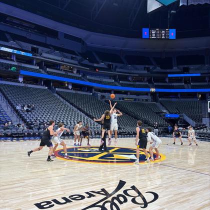 Ball Arena Game